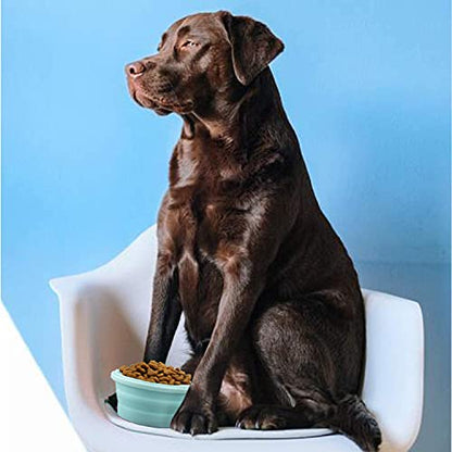 Luter 2 Pieces Collapsible Dog Bowls Silicone Food Water Travel Foldable Bowl with Lids Portable Expandable Pet Feeding Watering Cup Dish for Walking Kennels Camping 350ml (12x12x3cm) (Pink & Blue) - color: Pink & Blue
