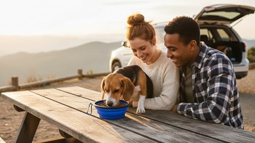 Silicone Foldable Pet Food Water Feeder, Collapsible Travel Bowl for Dog and Cat, Outdoor Portable (Blue) - color: Blue