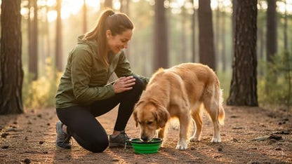 Silicone Foldable Pet Food Water Feeder, Collapsible Travel Bowl for Dog and Cat, Outdoor Portable (Green) - color: Green