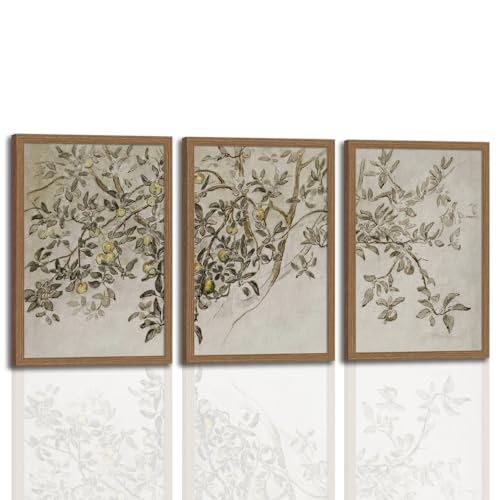 Vintage Apple Tree Canvas Wall Art Set of 3 Rustic Botanical Poster Prints with Wooden Frame Neutral Tree Branch Picture Painting Country Farmhouse Wall Decor for Living Room Bedroom Kitchen16x24Inches - color: Apple Tree Branches, size: 16x24 Inches