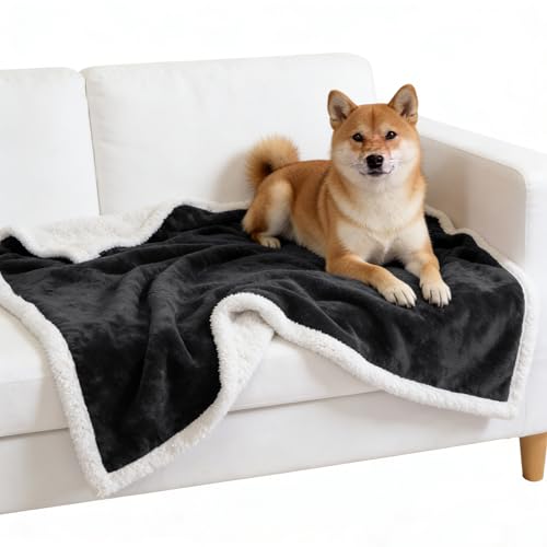 Kritter Planet Dog Blankets for Small Dogs, Soft Puppy Blanket, Pet Blankets for Cats, Lightweight & Washable, Perfect for Dog Beds, Car Seats, Creat, 30x40 inches - color: Black