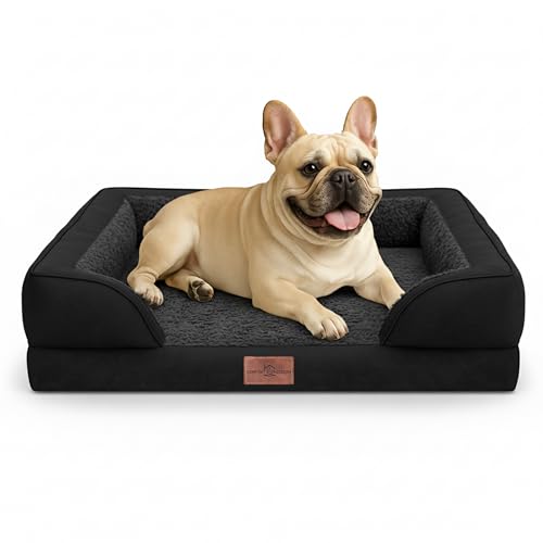 Comfort Expression Waterproof Orthopedic Dog Bed for Medium Size Dog | Supportive Egg Crate Foam Medium Pet Bed with Removable Bolsters, Dog Couch with Washable Cover & Non-Slip Bottom, 30x20 Inch - color: Black, size: 30.0"L x 20.0"W x 7.0"Th