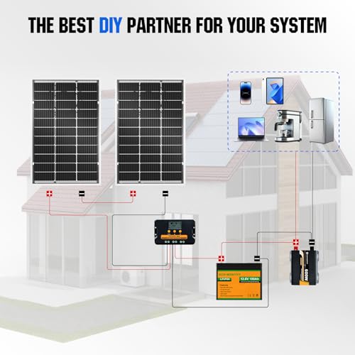 ECO-WORTHY 200 Watt Bifacial Solar Panel 2pcs 100 Watt Monocrystalline Solar Panel Module Off Grid PV Power for Home, Camping, Boat, Shed Farm, RV,12V/24V Battery - style: 100W Bifacial 2-Pack Solar Panel