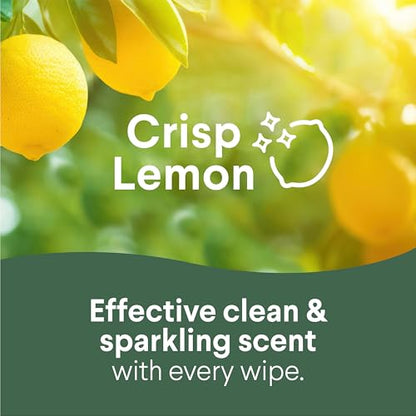 Clorox Disinfecting Cleaning Wipes Flex Pack, Bleach Free, Crisp Lemon, 75 Count (Pack May vary) - size: 75 Count (Pack of 1)