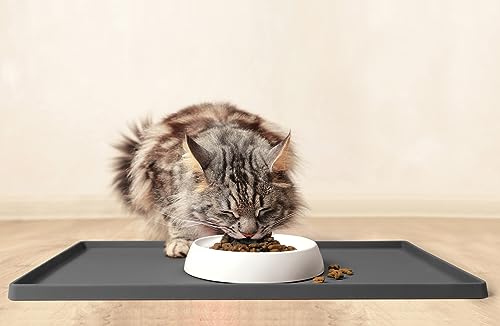 CatGuru Cat Food Mat, Small & Large Feeding Mats, 100% Waterproof Silicone Pet Placemat, Non-Slip Cat Food and Water Bowl or Water Fountain (Small, Carbon) - color: Carbon, size: S: 19" x 11"