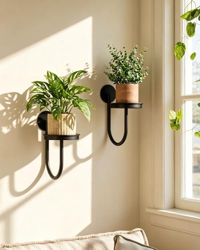Leaf&lull Hanging Planters for Indoor Plants Wall Plant Holder Wall Planter with Plant Hanger Holder Wall Hanging Decor 2 Pack Black - color: Black
