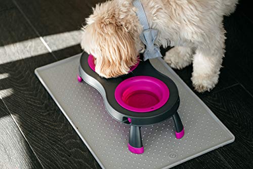 Dexas Pets Double Elevated Pet Feeder, Fuchsia, Small/1 Cup Capacity Bowls (PW1004322405) - color: Fuchsia, size: Small/1 Cup Capacity Bowls