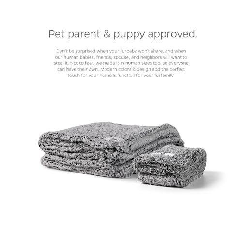PET Parents Premium CAT, Puppy and Dog Blanket, Slate, Large - color: Slate, size: 50"x60"