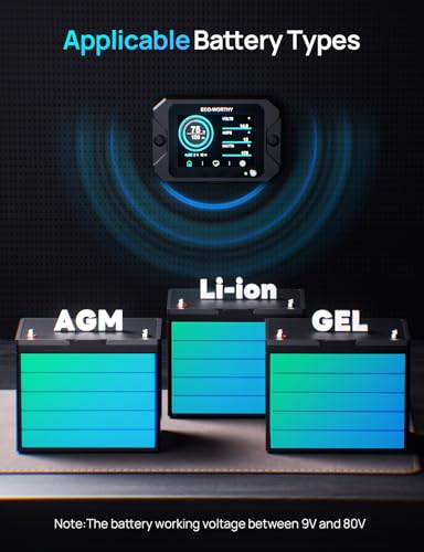 ECO-WORTHY Battery Monitor with Hall Sensor, 300A Touchable Backlight Display with Programmable Alarm for 9-80V LiFePO4/AGM/Gel Battery RV Golf Cart Off-Grid Houses - size: Battery Monitor