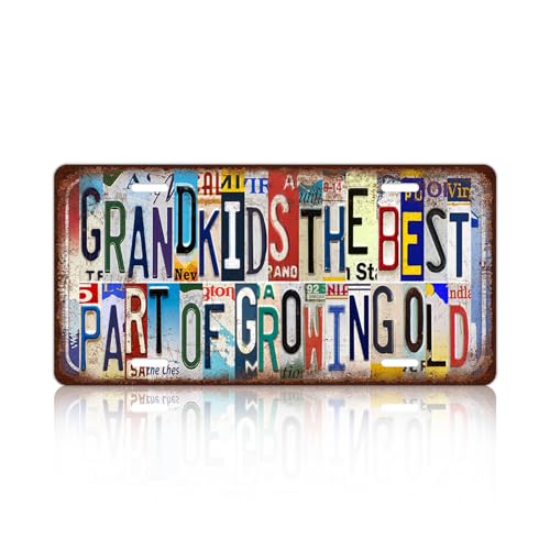 Vintage License Plate Wall Decor Grandkids The Best Part Of Growing Old Metal Tin Sign For Bar Home 12 x 6 Inches - color: Plate-303
