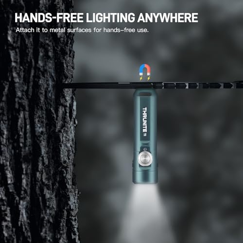 ThruNite Ti Keychain Flashlight, USB-C Rechargeable EDC Pocket Light, 650 Lumens with Magnetic Tailcap, 5 Modes, IPX-6 Waterproof Mini Flashlight for Camping, Everyday Carry (Genie Blue) - color: Genie Blue