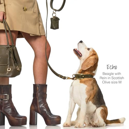 Rein - The Recycled Vegan Leather Pouch Durable Heavy Duty Bag Holder, Leash Attachment Made With Sustainable Materials, Custom Hardware for Small, Medium & Large Dogs, Dappled Cashmere - color: Dappled Cashmere, size: One Size