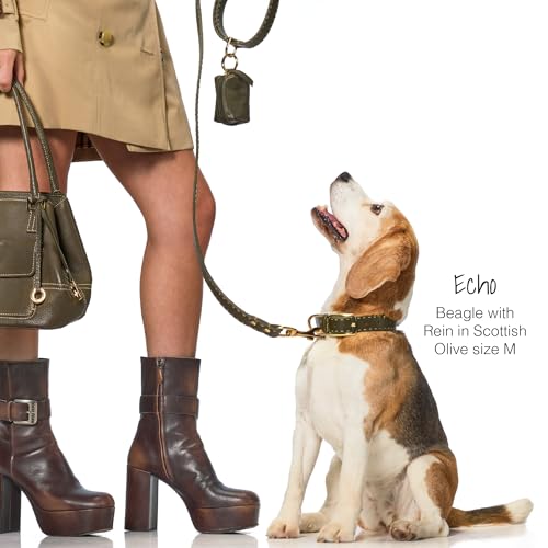 Rein - The Recycled Vegan Leather Pouch Durable Heavy Duty Bag Holder, Leash Attachment Made With Sustainable Materials, Custom Hardware for Small, Medium & Large Dogs, Chestnut Heather - color: Chestnut Heather, size: One Size