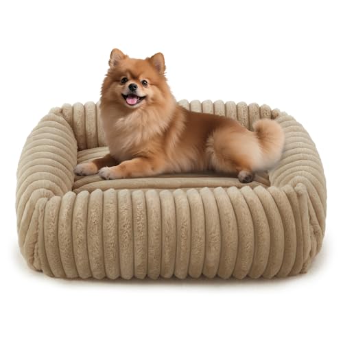FURTIME Dog Bed for Small Medium Dog, Washable Orthopedic Pet Bed with Removable Cover, Rectangle Soft Calming Sleeping Puppy Bed Durable Pet Cuddler with Anti-Slip Bottom, Beige, M (25"x21"x7") - color: Beige, size: M (25"x21"x7")