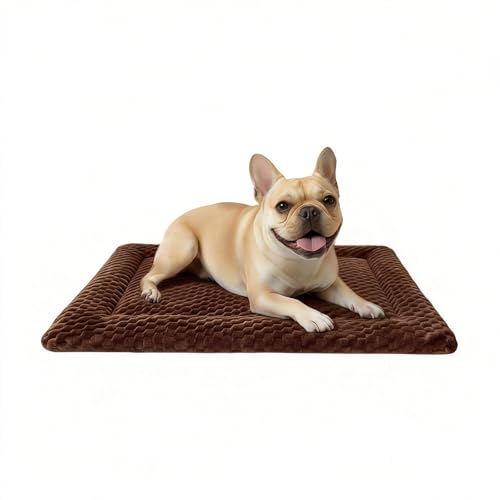 Dog Bed Mat, Dual-Sided Dog Crate Bed Mat - Ultra Soft & Machine Washable Kennel Pad for Small Dogs, All-Season Comfort Pet Bed for Crates, Travel, and Home, Brown, 24 x 16 Inch - color: Brown, size: Small 24 x 16 x 1.5 in
