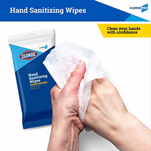 Clorox Pro Alcohol Free Hand Sanitizer Wipes with BZK, Gentle Bleach-Free Sanitizing Wipes for Hands - 0.13% BZK Formula, FDA Registered, Resealable Travel Pouch, 20 Count - size: 20 Count (Pack of 1)