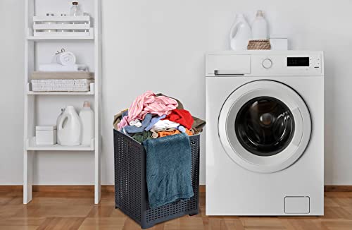 Eslite 42L Collapsible Plastic Laundry Baskets,Foldable Laundry Hamper,Pack of 2 (Grey) - color: Grey