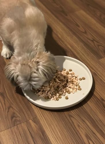Arespark Dog Food Mat, Nonslip Waterproof Dog Silicone Feeding Bowl Mat with Raised Edges for Floors Prevent Spills, Round Eating Plate Puppy Supplies 10inch (Off White, 1 Pack)