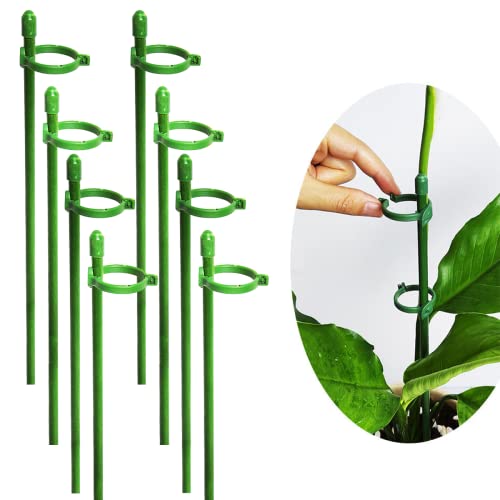 Belit 8 Pack Small Plant Support Plant Stakes, Adjustable Garden Single Stem Support Stake, Planter Support Ring for Orchid, Rose, Peony, Peppers and More, DIY 31.5 inch - size: 31.5Inch
