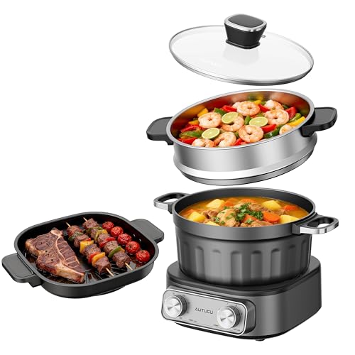 N74SNA Hot Pot Electric, Multi-Cooker 2.5 Quart Grill Steamer Set, PFOA-Free Nonstick for Steak, Soup, Fried Rice, Oatmeal, Egg, Ramen with Power Adjustment - size: Dual-Handle Pot