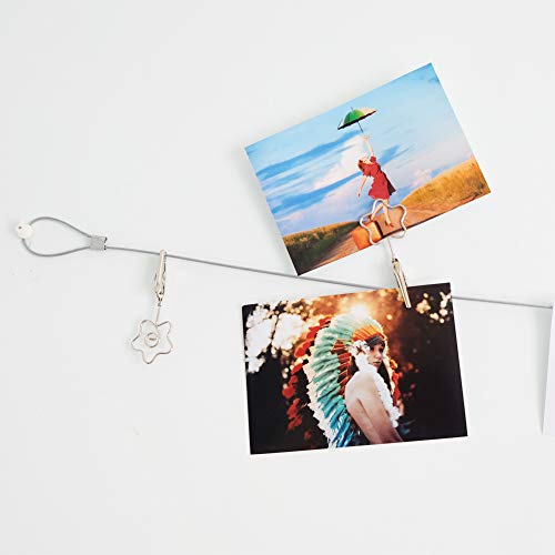 Multi-Purpose Steel Wall Hanging Photo Display Cable Wire Rod with 12 Adjustable Clips for Hanging Photos Notes Postcard and Artworks (Flower) - size: Flower