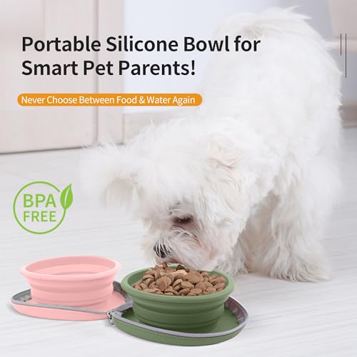 Collapsible Dog Bowls, 2-in-1 Travel Double Bowl Water Food Feeder Portable Pet Traveling Camping & Walking 25oz (Pink Green) - color: Pink green