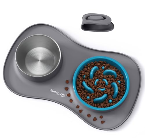MateeyLife Dog Food and Water Bowl Set 3 in 1, Slow Feeder Dog Bowls & Stainless Steel Water Bowl with Non-Spill Silicone Mat, Cat and Puppy Bowls Pet Dishes for Small Medium Large Breed Anti-Choking - color: Gray, size: Large