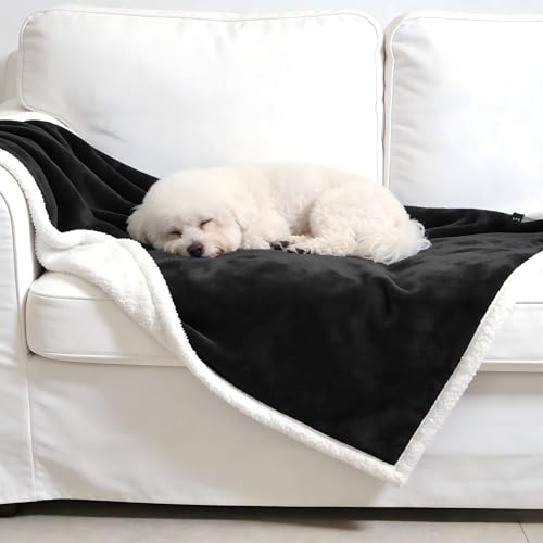 Kritter Planet Dog Blankets for Small Dogs, Soft Puppy Blanket, Pet Blankets for Cats, Lightweight & Washable, Perfect for Dog Beds, Car Seats, Creat, 30x40 inches - color: Black