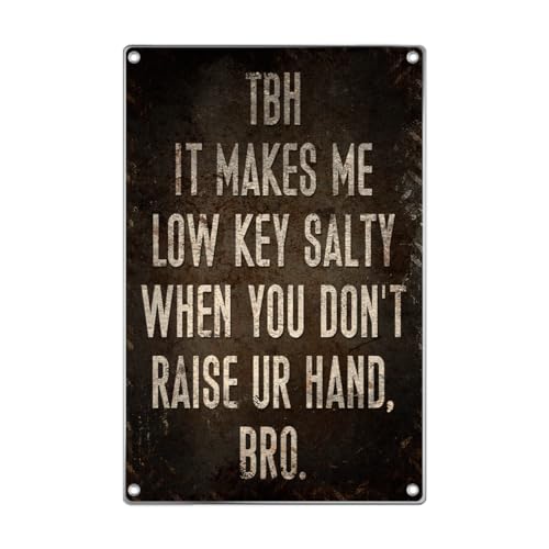 Funny Classroom Quote Slang Wall Decor Low Key Salty Retro Humor Metal Sign Dorm Room Teen Bedroom Living Bathroom College Gift For Friends 8 x 12 Inch Home - color: High School