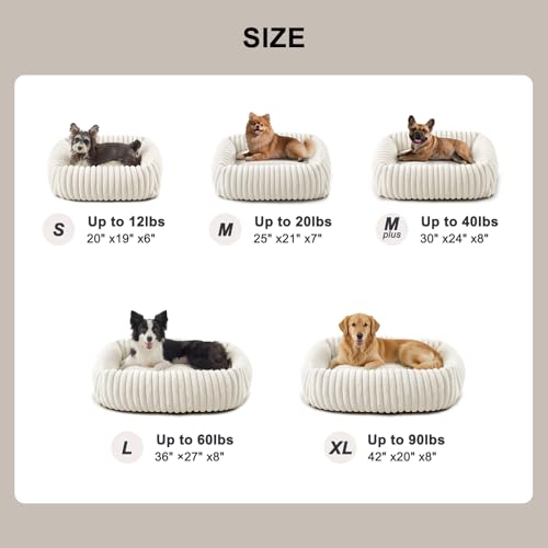 FURTIME Dog Bed Medium Size Dog, Washable Orthopedic Pet Bed with Removable Cover, Rectangle Soft Calming Sleeping Puppy Bed Durable Pet Cuddler with Anti-Slip Bottom, Cream, M Plus (30"x24"x8") - color: Cream, size: M Plus (30"x24"x8")