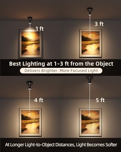 EZVALO Spotlights Indoor with Remote, 5500mAh Rechargeable Picture Lights, Wireless LED Uplighting with Timer & Dimmable, 3-CCT, Mini Plant Spot Lights for Painting, Artwork (4-Pack-Black) - color: Black