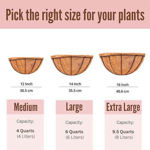 LaLaGreen Wall Hanging Planters (12 Inch, 2 Pack) Wall Mounted Flower Baskets with Coco Liner, Metal Iron Wire Plant Holder for Outdoor Window Box Herb Outside Fence Railing Deck Porch Balcony Garden