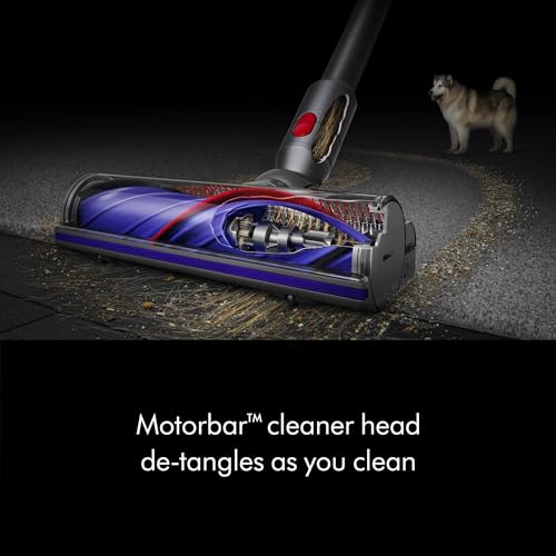 Dyson V11 Extra (Nickel/Purple) - style: V11 Extra
