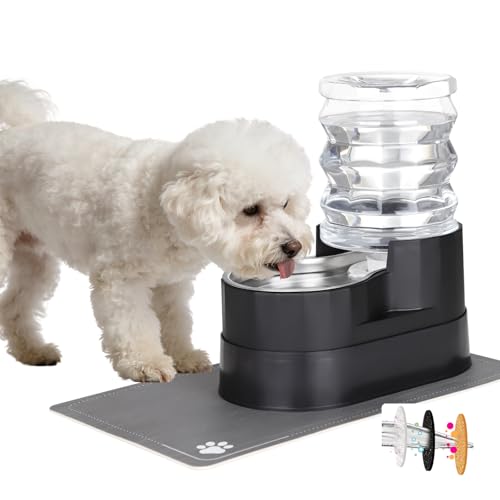 RIZZARI 5L Filtered Pet Water Dispenser with Elevated Design | Elevated Drinking Position,Gravity Water Flow,Odor Reduction Filter,Durable Construction,Stable Base,Ideal for Indoor Spaces - color: Black, size: 5L