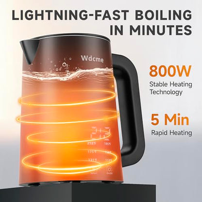0.6L Small Travel Electric Kettle Portable Smart Tea Coffee Kettle | 800W Rapid Boil,6 Temperature Control,304 Stainless Steel,Dual Voltage 110-240V,12H Keep Warm, Mini Hot Water Boiler