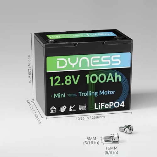 Dyness 12V 100Ah Mini LiFePO4 Battery 2 Pack Group 24, 12 Volt Deep Cycle Lithium Battery with 100A BMS, Low-Temp Protection & 10 Years Lifespan for RV, Boat, Trolling Motor, Solar Off-Grid, Golf Cart - style: 12V 100Ah Mini(2 Pack)