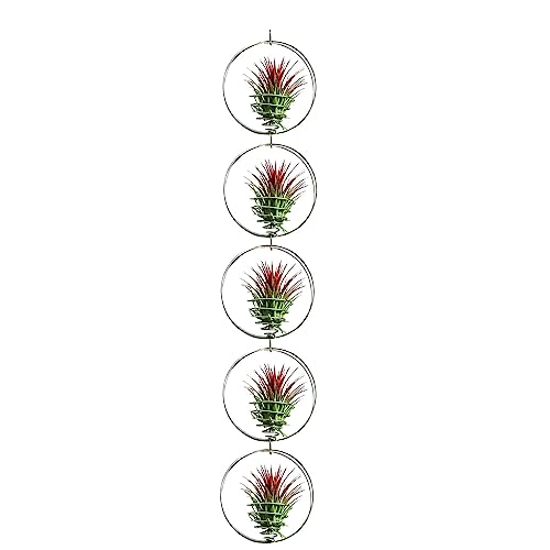 Air Plant Hanging Holder Planter - Plant Hanger Display Frame DIY Kit Aluminum Wire Indoors Outdoors Plants Not Included (Silver) - color: Silver