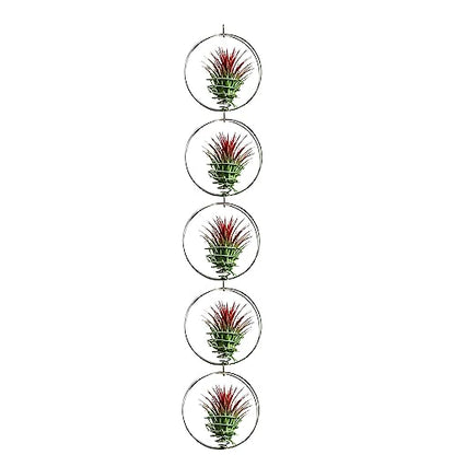 Air Plant Hanging Holder Planter - Plant Hanger Display Frame DIY Kit Aluminum Wire Indoors Outdoors Plants Not Included (Silver) - color: Silver