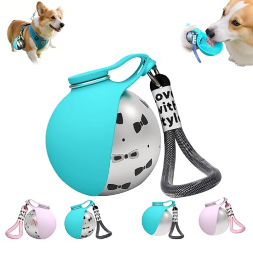 Foldable Pet Water Bottle for Travel, 2 in 1 Portable Dog Water Bottle, Water Bottle for Dogs on Walks, Stainless Steel Bottle & Silicone Bowl, for Walking Hiking Small Dog Water Bottle (Blue+Print) - color: Blue+Print