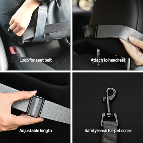 Amazon Basics Dog Car Seat, Pet Booster for Small-Medium Dogs with Leash & Washable Cover, Black - color: BLACK