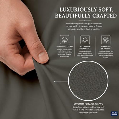 Cottingon 4 Piece Twin Sheets, 100% Extra Long Staple Premium Egyptian Cotton, Soft Camper Bed Sheet Set, Fits Upto 16" Deep RV Bunk Mattress 39"X75", Dark Grey - color: Dark Grey Solid, size: Twin
