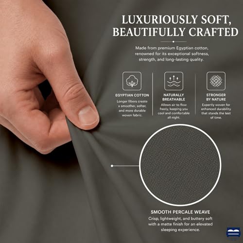 Cottingon 4 Piece Queen Sheets, 100% Extra Long Staple Premium Egyptian Cotton, Soft Camper Queen Bed Sheet Set, Fits Upto 16" Deep Mattress 60"X80", Dark Grey - color: Dark Grey Solid, size: Queen