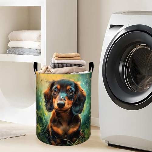 Cute Dachshund in Sunny Grass Laundry Basket with Handles, 19.7"x15.7" Clothes Foldable Laundry Hamper Organizer for Dorm Nursery Bedroom Bathroom Decor, Toy Storage Bin for Kids - style: Dachshund53