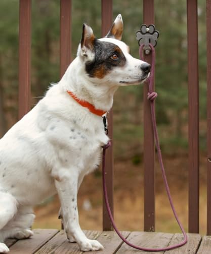 Dog Leash Hitch Parking Hook Medium Duty Wall-Mount Stainless Steel Dog Tie Out - Leash Holder for Wall - Mounting Hardware Kit Included (3” x 4”)