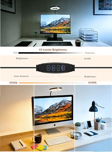 Suction Cup LED Desk Lamp for Computer Monitor, 3 Modes 10 BrightnessDesk Lights for Home Office with Adapter, Flexible Gooseneck Ring Light, Fill Light, Bedside, Reading, Study, Workbench, Black - size: 3.5IN