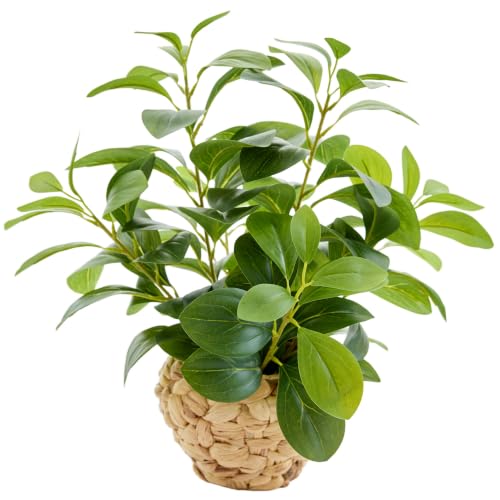 AlphaAcc 15.7" Artificial Fig Leaf Plant in Water Hyacinth Basket - Faux Ficus Greenery for Desk, Office & Boho Decor - color: Green Ficus Plant 15.7" H