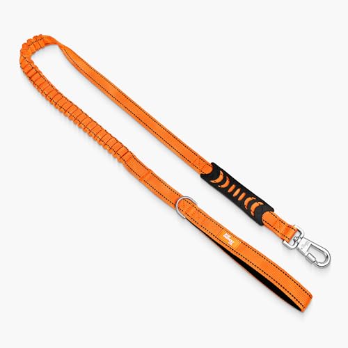 Dog Friendly Co. Bungee Dog Leash | Strain Free & Shock Resistant for Control | Neoprene Padded Handle, Heavy-Duty Carabiner Clip, and D-Ring | Hi-Vis Orange, Size Small - color: Hi-Vis Orange, size: Small