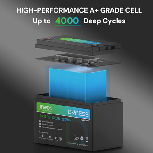 Dyness 12V 100Ah LiFePO4 Lithium Battery (4 Pack) BCI Group 31 with Low-Temp Protection, A+ Grade Cell Built-in 100A BMS, 12 Volt Lithium Battery Perfect for RV, Solar System, Off-Grid, Home Energy - style: 12V 100Ah Group 31(4 Pack)