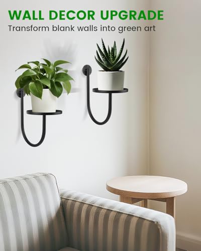 Wall Planters for Indoor Plants, Mounted Holder Shelf, Metal Plant Wall Hanger, Decorative Plant Shelf for Indoor Wall Decor (3 Pack)