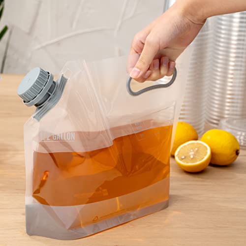 Restaurantware Cater Tek 1/2 Gallon Water Containers 10 Drink Bags - Collapsible Includes Tamper-Evident Caps Clear Plastic Beverage Bags For Catered Events Camping or Hiking Durable Handle - size: 10 Count, style: 1/2 Gallon